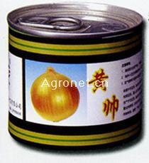 黄帅洋葱种子产品展示——山东省东平种苗种子