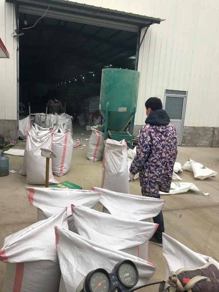 石嘴山草花种子工厂 助力三北工程，打造多彩景观