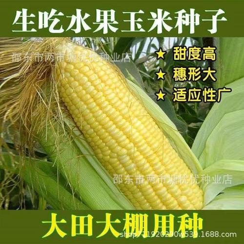 从一粒种子到满园丰收 种苗与种子种球的专业选择指南