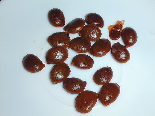 柿子的食用部位与种子特征