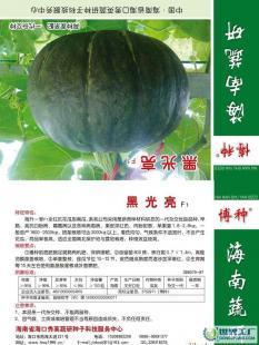 诚招黑光亮F1南瓜种子代理加盟 携手世界工厂网，共拓高端农产品蓝海